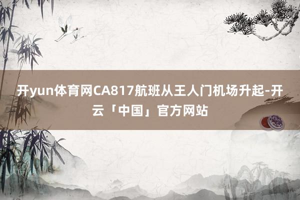 开yun体育网CA817航班从王人门机场升起-开云「中国」官方网站