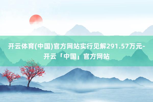 开云体育(中国)官方网站实行见解291.57万元-开云「中国」官方网站