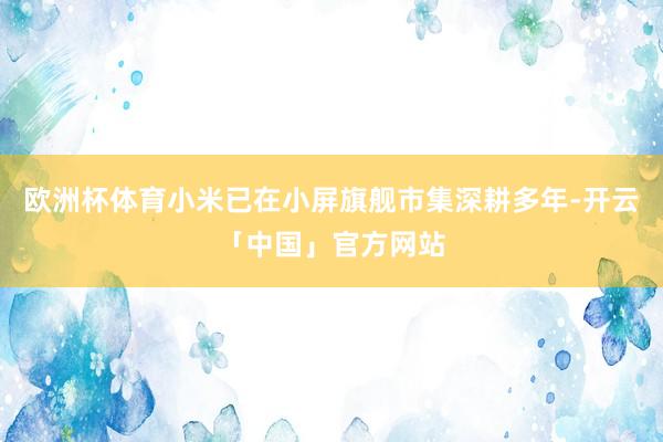 欧洲杯体育小米已在小屏旗舰市集深耕多年-开云「中国」官方网站